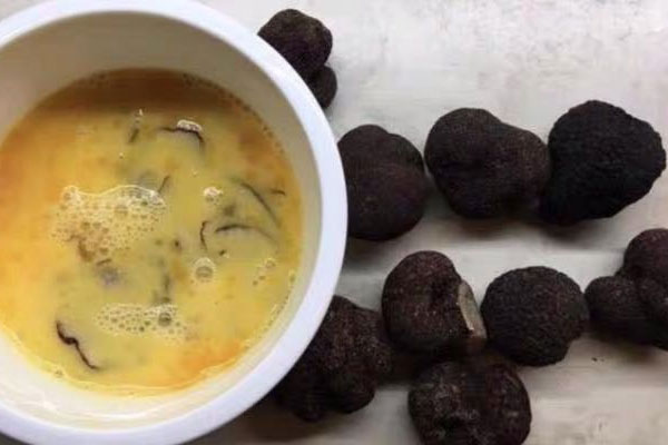 黑松露在護(hù)膚上的功效 黑松露在護(hù)膚上的功效