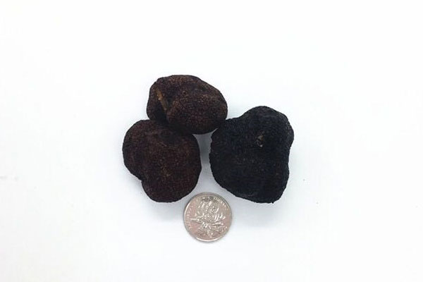 黑松露對(duì)男人管用么，黑松露一天吃幾粒最好