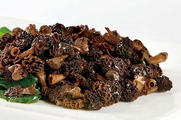 紅燒羊肚菌的功效作用與營養(yǎng)價值 紅燒羊肚菌的功效作用與營養(yǎng)價值