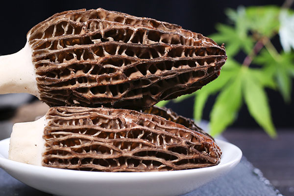 韭菜炒羊肚菌的營養(yǎng)價(jià)值與功效作用 韭菜炒羊肚菌的營養(yǎng)價(jià)值與功效作用