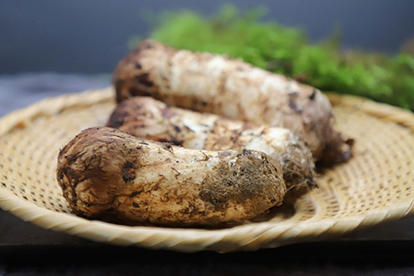 松茸鯽魚辣湯怎么燉才白 松茸鯽魚辣湯怎么燉才白