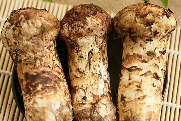 鮮蝦松茸奶油意面可以用牛奶代替嗎 鮮蝦松茸奶油意面可以用牛奶代替嗎