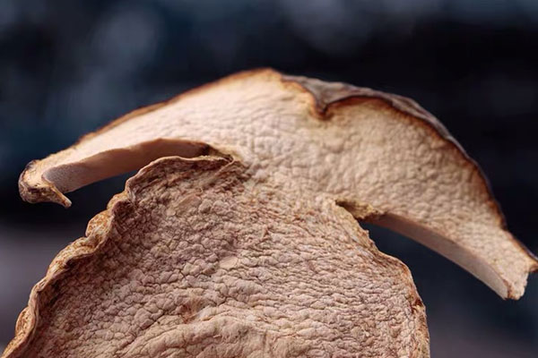 泡牛肝菌的水要不要 泡牛肝菌的水要不要