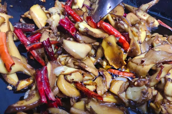 吃紅蔥牛肝菌必須要注意的地方 吃紅蔥牛肝菌必須要注意的地方