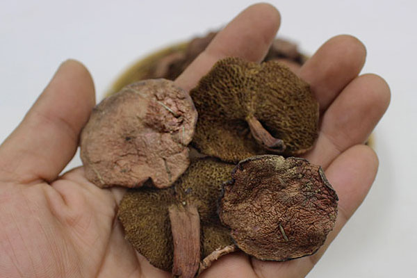 紅乳牛肝菌能生吃嗎，牛肝菌和羊肚菌哪個好吃