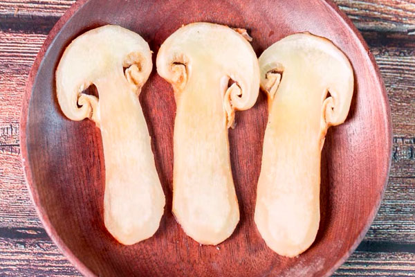 松茸長在多高的海拔上 松茸長在多高的海拔上