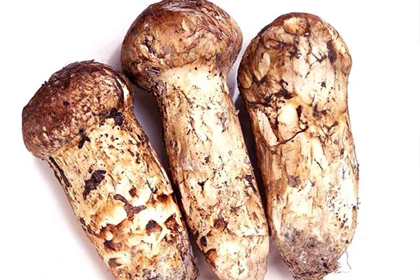 松茸蛋白質(zhì)高嗎，高血脂能吃松茸嗎