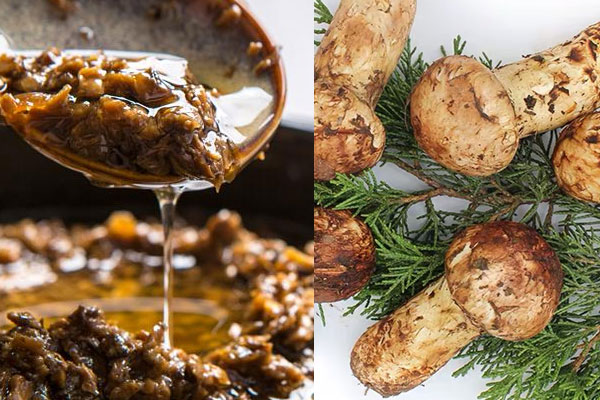 松茸醬可以直接吃嗎，松茸醬煎鮑魚(yú)好吃嗎