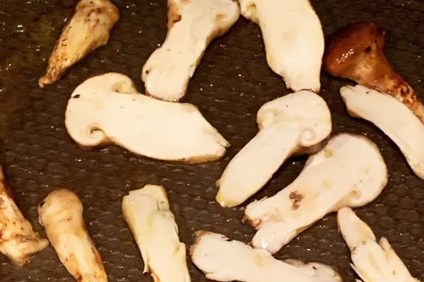 干煎松茸的做法 干煎松茸的做法