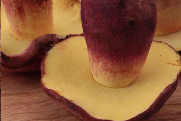 見手青好不好吃 見手青好不好吃