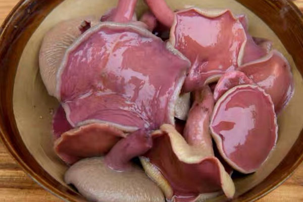 紅乳牛肝菌能包餃子嗎，干制紅乳牛肝菌怎么食用