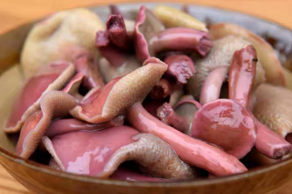 新鮮紅乳牛肝菌的清洗方法 新鮮紅乳牛肝菌的清洗方法