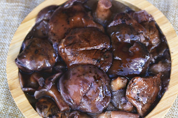 紅乳牛肝菌孕婦可不可以吃 紅乳牛肝菌孕婦可不可以吃