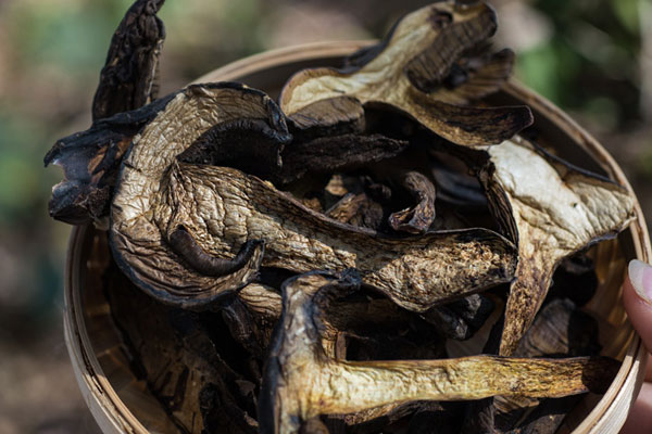 干的牛肝菌要泡發(fā)多長時間，泡牛肝菌的水要不要