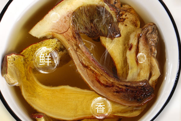 浸泡牛肝菌的水要不要 浸泡牛肝菌的水要不要