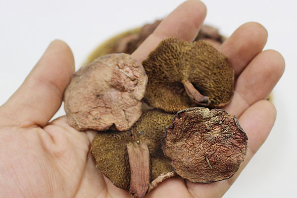 紅乳牛肝菌不能和什么一起吃，干牛肝菌怎么泡不苦