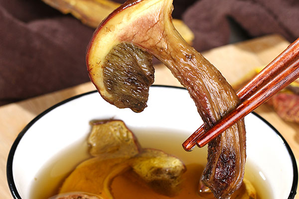 干品牛肝菌如何泡發(fā)才不苦 干品牛肝菌如何泡發(fā)才不苦
