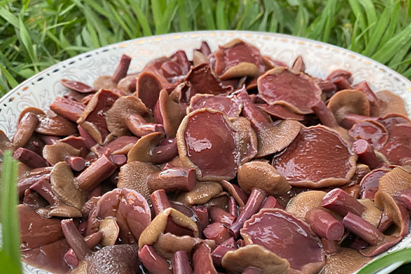 胃寒可以吃牛肝菌嗎，牛肝菌可以調(diào)理腸胃嗎