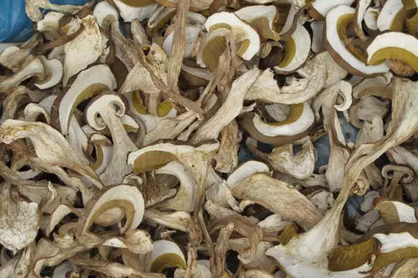 心臟不好能不能吃牛肝菌 心臟不好能不能吃牛肝菌