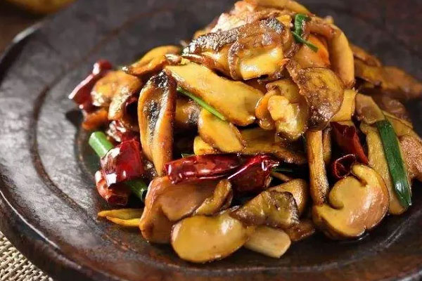 牛肝菌什么口感 牛肝菌什么口感