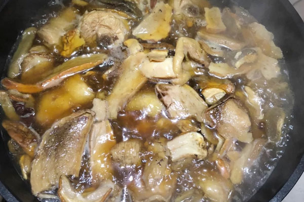 牛肝菌瘦肉湯會上火嗎