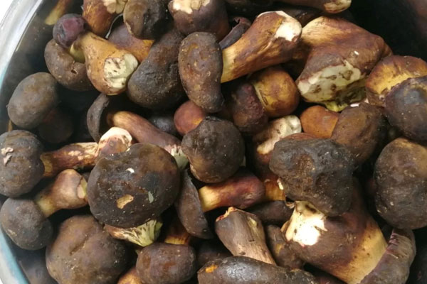 吃辣的牛肝菌火鍋應(yīng)該怎么去火