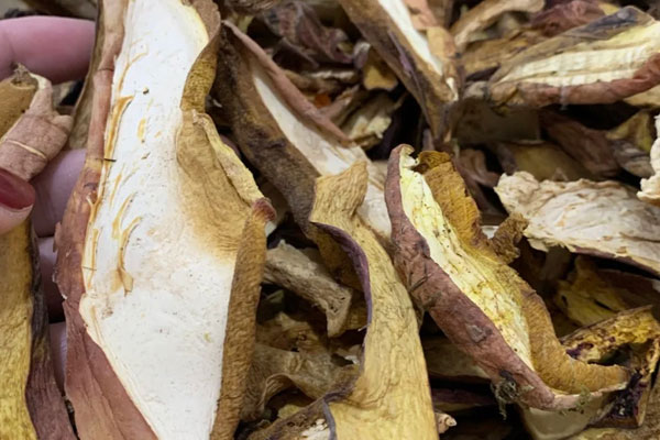 干牛肝菌怎么泡才不硬 干牛肝菌怎么泡才不硬