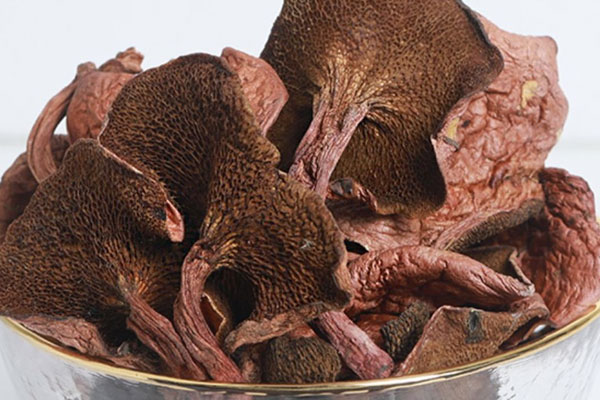 干的紅乳牛肝菌有沒有毒