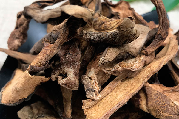 干牛肝菌泡出來有很多蟲