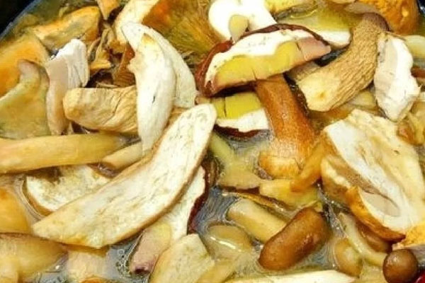 如何判斷牛肝菌熟沒熟