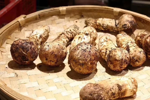 吃松茸補(bǔ)哪里 吃松茸補(bǔ)哪里