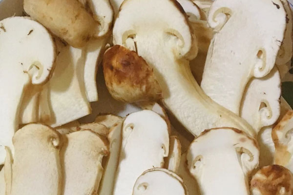 甲狀腺患者應(yīng)該怎么吃松茸 甲狀腺患者應(yīng)該怎么吃松茸