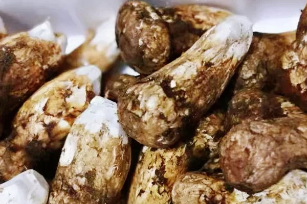 松茸是補(bǔ)品嗎，松茸屬于保健品嗎