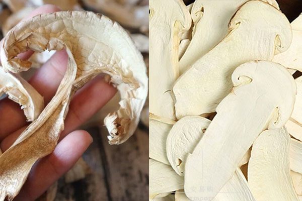 凍干松茸為什么比干松茸好 凍干松茸為什么比干松茸好