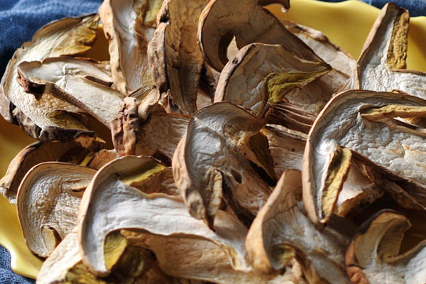 牛肝菌的三大烘干方法