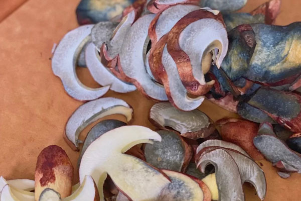 牛肝菌切開變藍(lán)色還可以吃嗎 牛肝菌切開變藍(lán)色還可以吃嗎