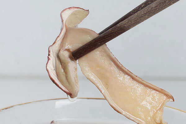 干牛肝菌泡隔夜還能吃嗎，牛肝菌放了兩年了還能用嗎