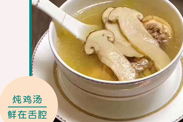 備孕的時(shí)候可以吃松茸雞湯嗎，松茸吃法