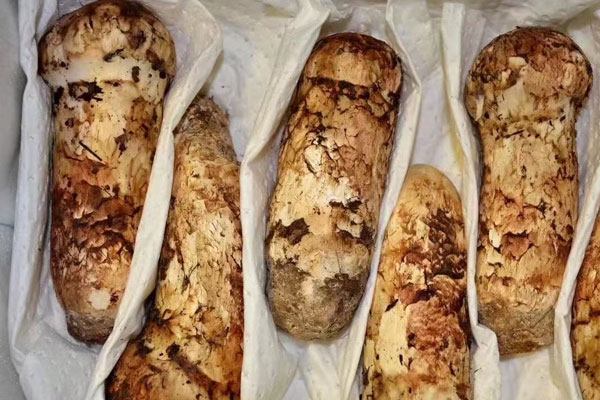 松茸可以炒肉吃嗎，請(qǐng)問松茸有什么功效