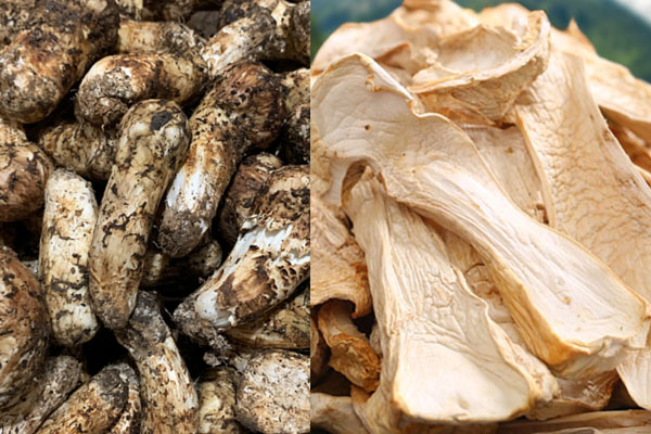 干松茸和鮮松茸哪個(gè)好 干松茸和鮮松茸哪個(gè)好