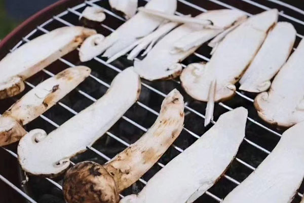 松茸變紫色還可以吃嗎