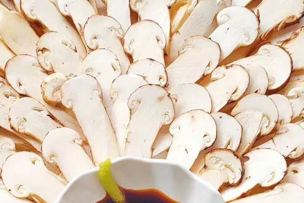 備孕期間可以吃松茸嗎