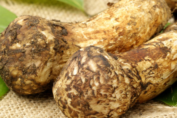 長期吃松茸有哪些好處 長期吃松茸有哪些好處