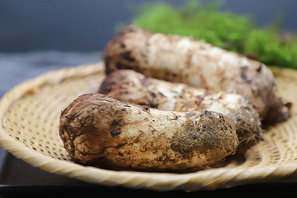 松茸是不是發(fā)物 松茸是不是發(fā)物