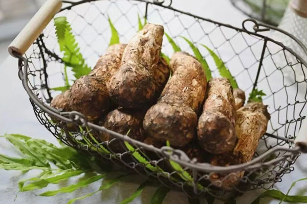 松茸帽和松茸根哪個(gè)有營養(yǎng)，人工松茸和野生松茸的區(qū)別