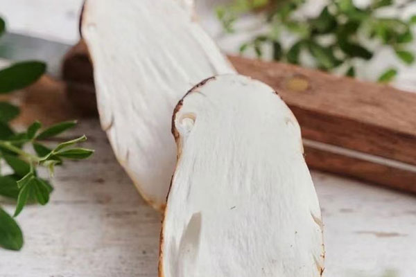 人工松茸和野生松茸有哪些區(qū)別 人工松茸和野生松茸有哪些區(qū)別