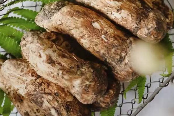 坐月子可以吃松茸嗎 坐月子可以吃松茸嗎