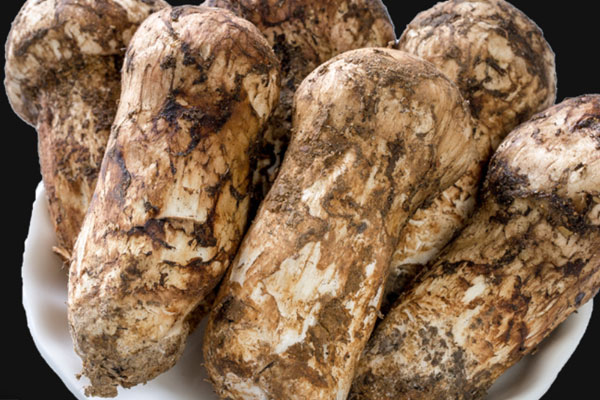 松茸怎樣吃降血糖，松茸能降血脂嗎