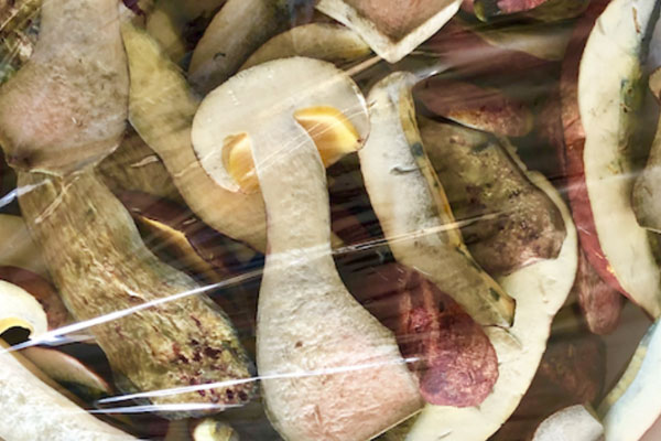 云南人眼中的蘑菇是什么 云南人眼中的蘑菇是什么