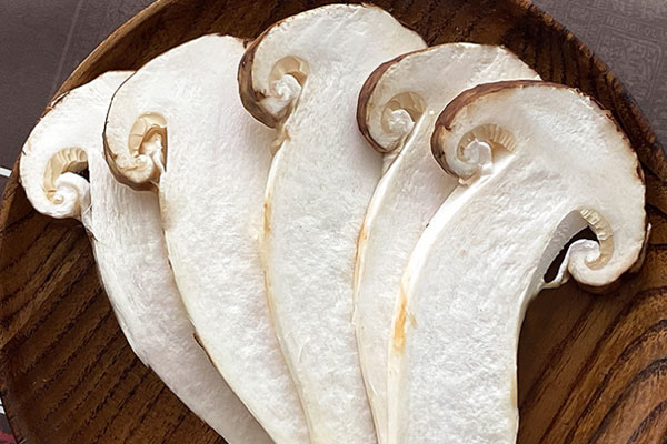 最早的松茸誕生哪里